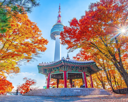 Southkorea Visa
